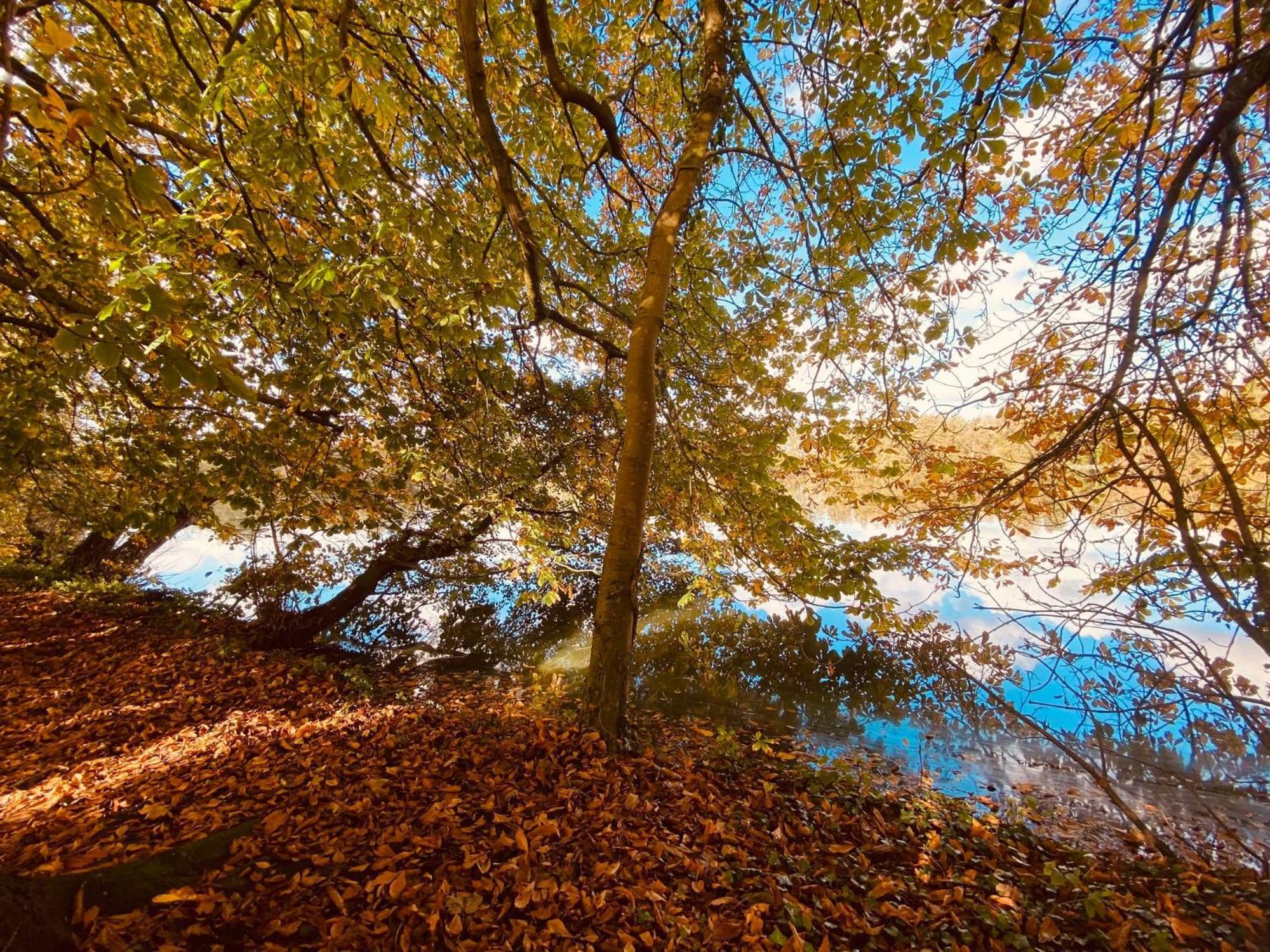 Studio Premium, A 50M Du Lac D'Ardres Avec Terrasse Extérieur photo